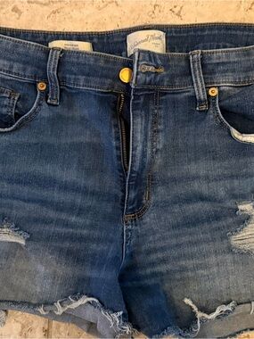 Universal Thread Women's Distressed Denim Shorts - Dark Blue